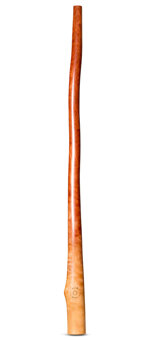 CrookedStixz Didgeridoo (AH358)
